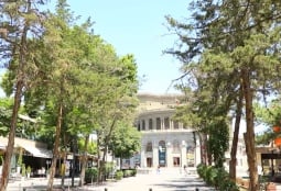«Ծեր են, հարիր չեն Երևանին»․ Օպերայի մուտքի մոտ աճող հաստ ծառերը կփոխարինվեն (ՎԻԴԵՈ)