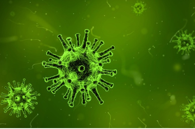 ВОЗ отказалась объявлять ЧС из-за вспышки коронавируса в Китае несмотря на 18 погибших
