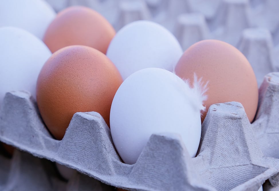 На рынке яиц в Армении перед Пасхой провели проверки: регулятор сообщил о нарушениях 