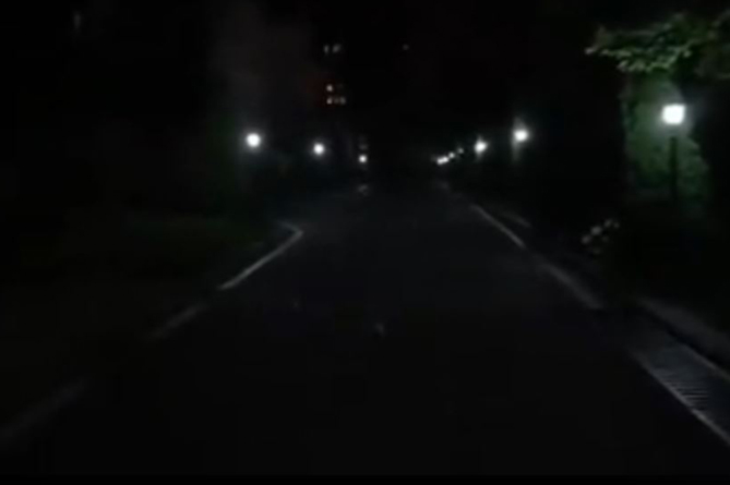 Пашинян вышел в LIVE и показал шакала, живущего у премьерского особняка (ВИДЕО)