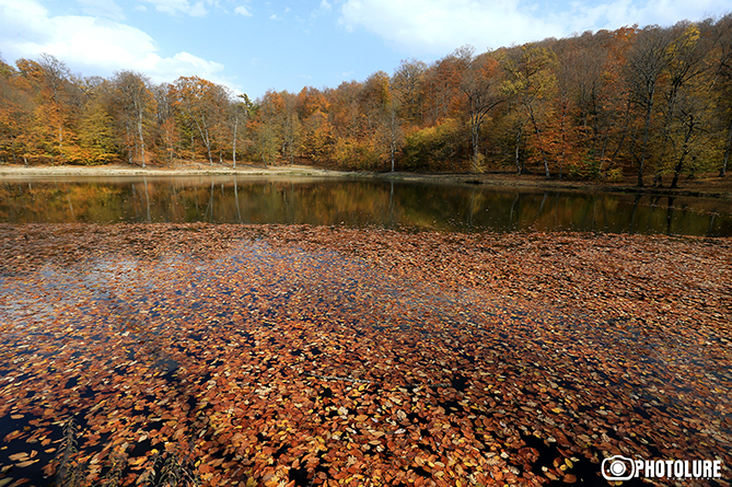 Gold and crimson of Armenian autumn-6