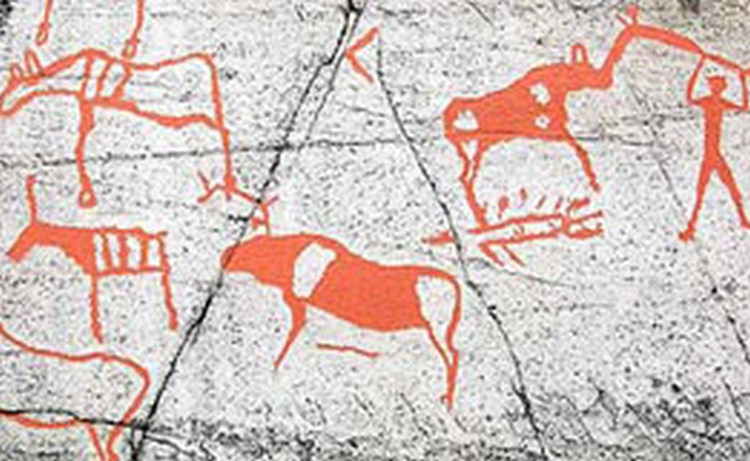 Ученые утверждают, что древние люди лучше рисовали животных, чем современные художники