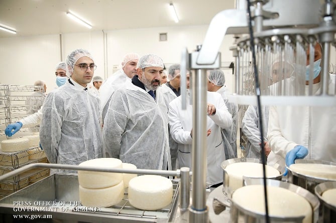 Պանիրների տեսականի` Հայաստանում. երկրում 30 մլն դոլարի պանրի ժամանակակից արտադրություն է հիմնվել (ՖՈՏՈ) Պանիրների տեսականի` Հայաստանում. երկրում 30 մլն դոլարի պանրի ժամանակակից արտադրություն է հիմնվել (ՖՈՏՈ)