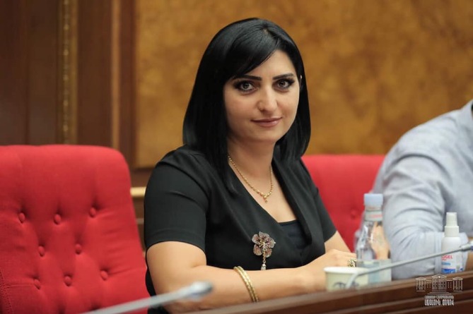 Продление мандата миротворцев необходимо для реализации права армян Арцаха на жизнь: глава комиссии НС - послу РФ