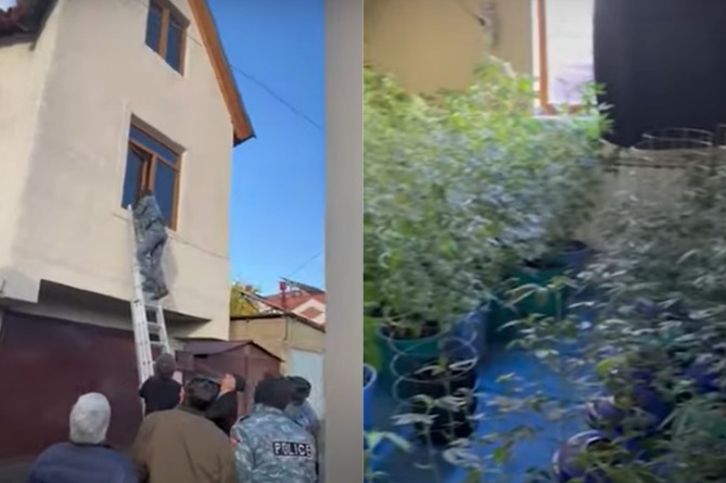 Полицейские обнаружили плантацию и нарколабораторию в одном из домов Еревана (ВИДЕО) Полицейские обнаружили плантацию и нарколабораторию в одном из домов Еревана (ВИДЕО)