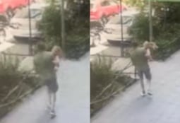  Дочь иностранца похитили в Ереване и пытались вывезти из страны (ВИДЕО)