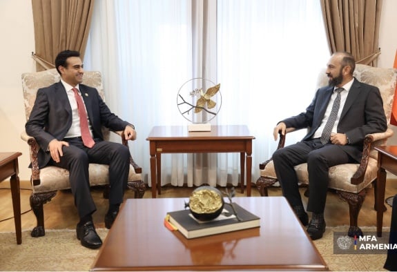 Ադրբեջանի հետ խաղաղություն, ռազմավարական գործընկերություն և «ԱԲ գործարան». Միրզոյանը հանդիպել է ԱՄՆ կոնգրեսականի հետ