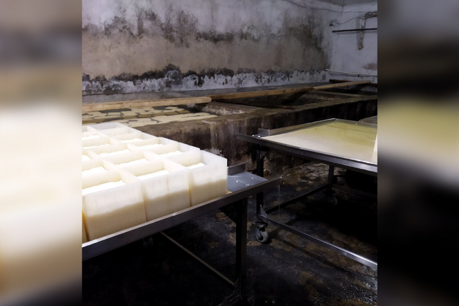 Ժանգոտած սարքեր, բորբոսնած պատեր․կասեցվել է կաթնամթերքի և մսամթերքի խոշոր արտադրողներից մեկի գործունեությունը (ՖՈՏՈ)