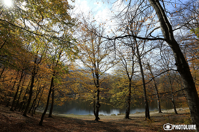 Gold and crimson of Armenian autumn-4