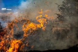 Пять дней повышенной пожарной опасности ожидаются в Сюнике и Араратской долине