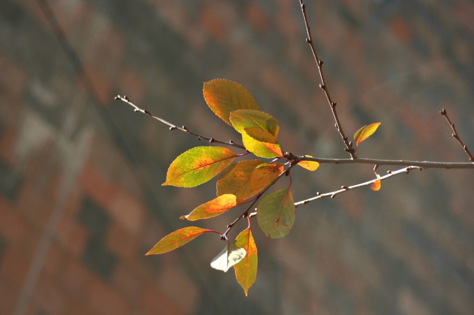 В Ереване будет побит 22-летний рекорд жары, но потом похолодает