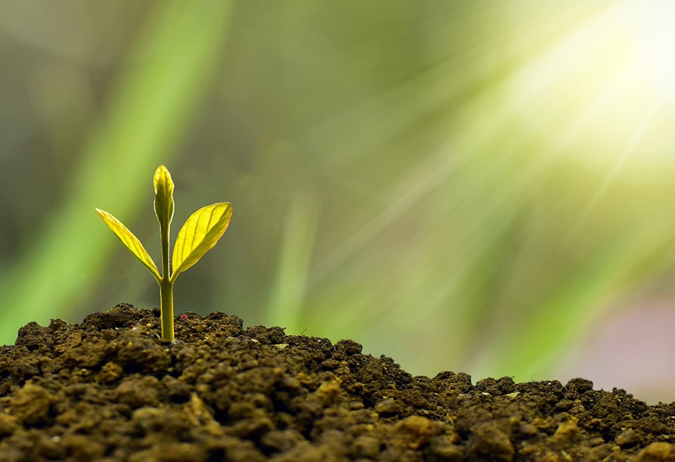 Возрождение промышленности и инновации: оппозиционный блок «Армения» представил предвыборную программу 