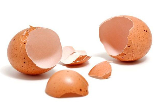 Китайцы создали устройство для хранения данных из яичной скорлупы