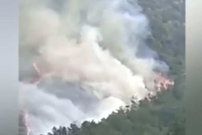 Հրապարակվել են Չինաստանում ուղևորատար Boeing–ի կործանումից հետո առաջին կադրերը (ՎԻԴԵՈ)