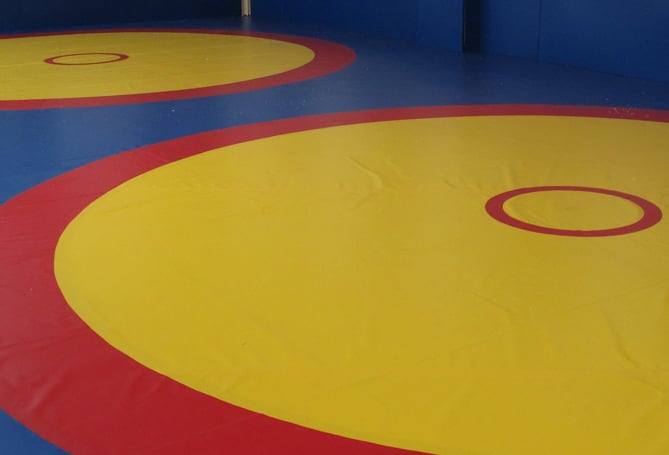 Скончался известный спортсмен, двукратный чемпион мира Нельсон Давидян Скончался известный спортсмен, двукратный чемпион мира Нельсон Давидян