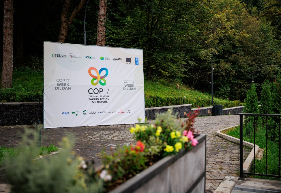 COP17 Week Dilijan