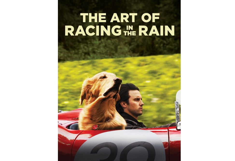 The art of racing