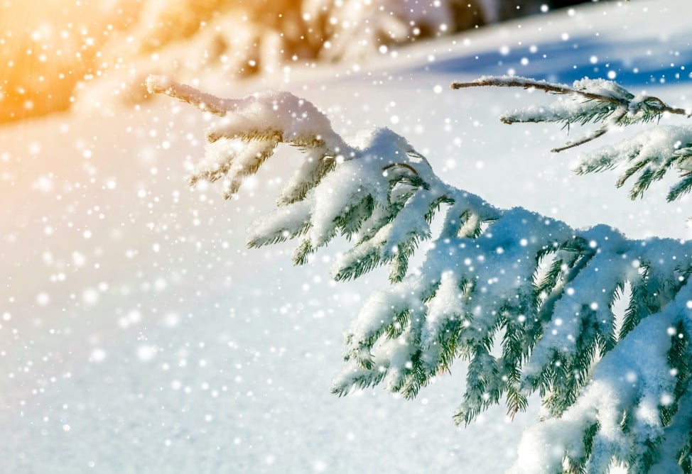 Լեռնային շրջաններում ձնածածկույթի բարձրությունը 60-80 սմ-ով գերազանցում է նախորդ տարվա ցուցանիշը