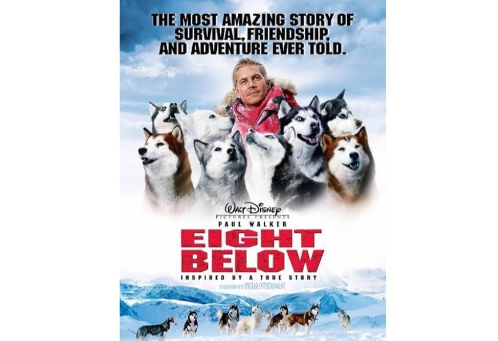 Eight Below
