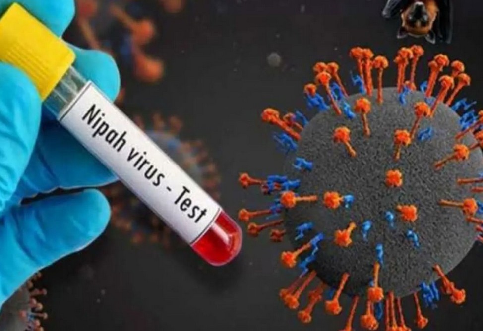 Риск распространения вируса Нипах остаётся низким, но вакцины пока не существует - ВОЗ