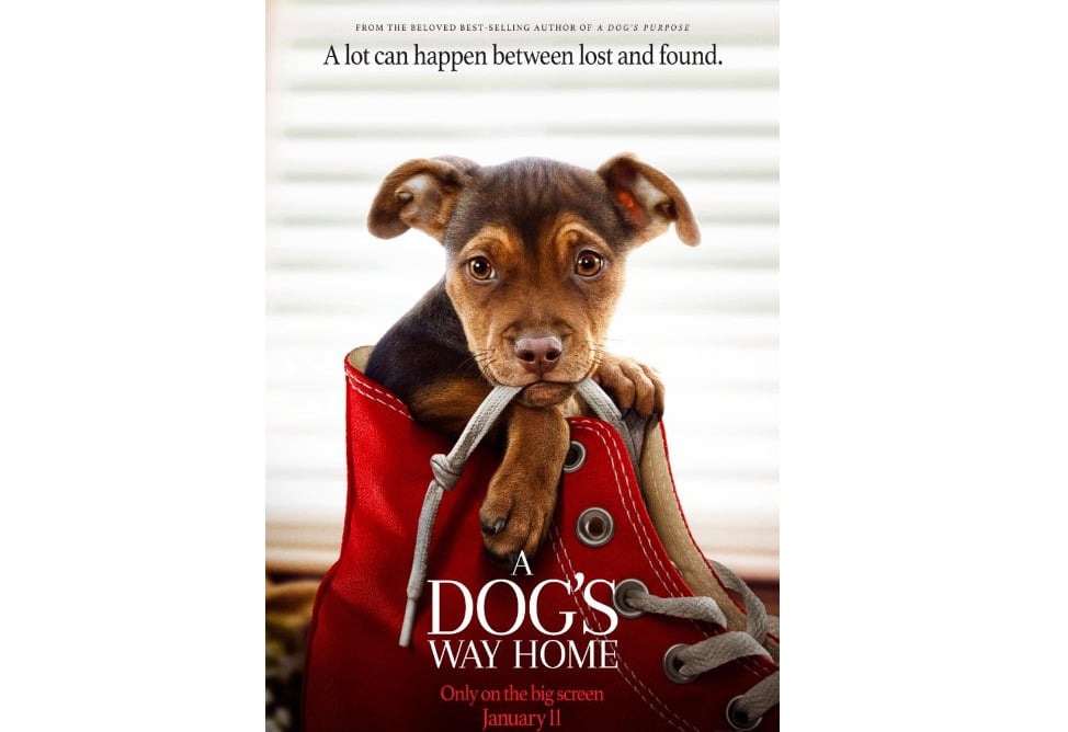 A Dog’s Way Home