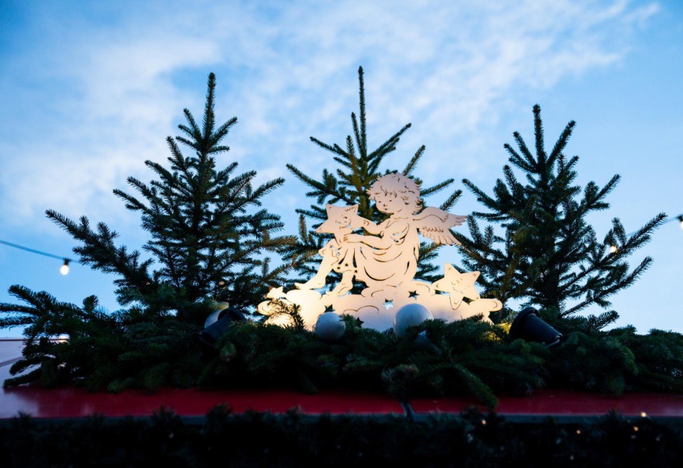 елка Христа елка Христа