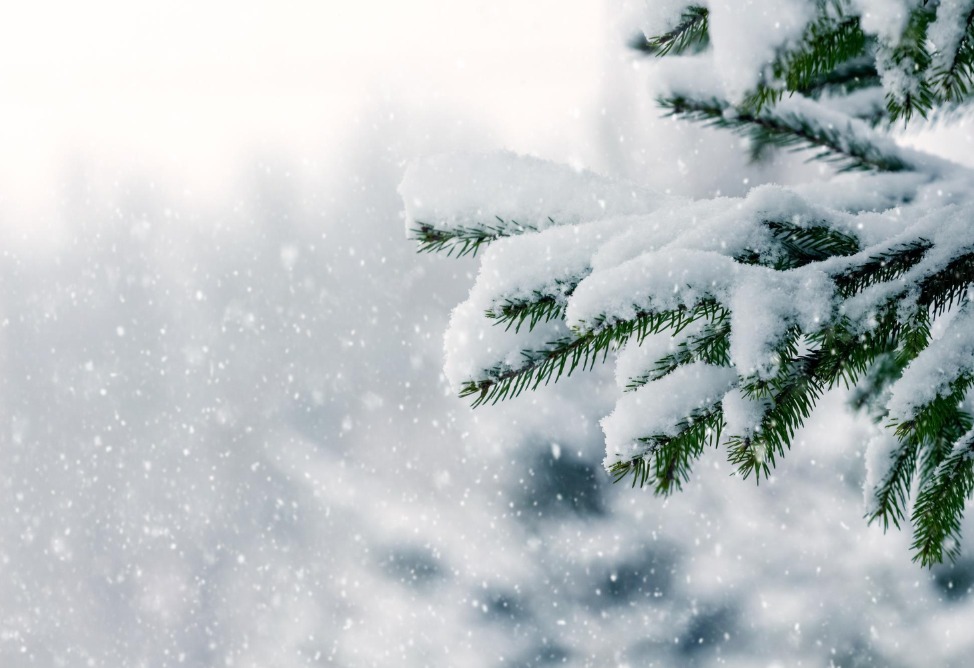 Օդի ջերմաստիճանը  կնվազի 14-18 աստիճանով.մարզերում սպասվում է բուք (ՎԻԴԵՈ)  