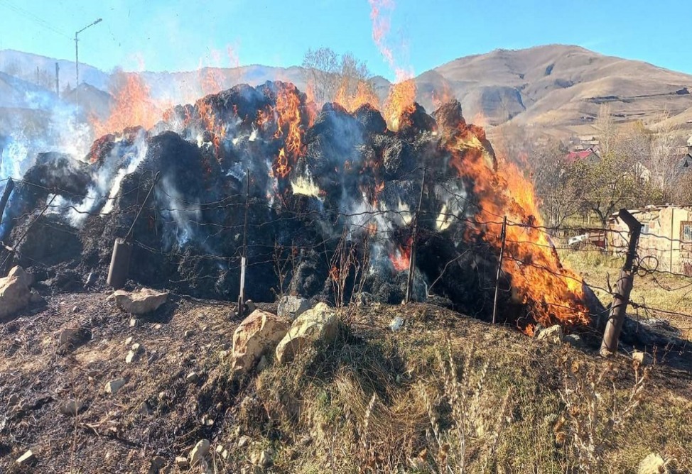 Գերեզմանատան մոտ 320 հակ անասնակեր է այրվել