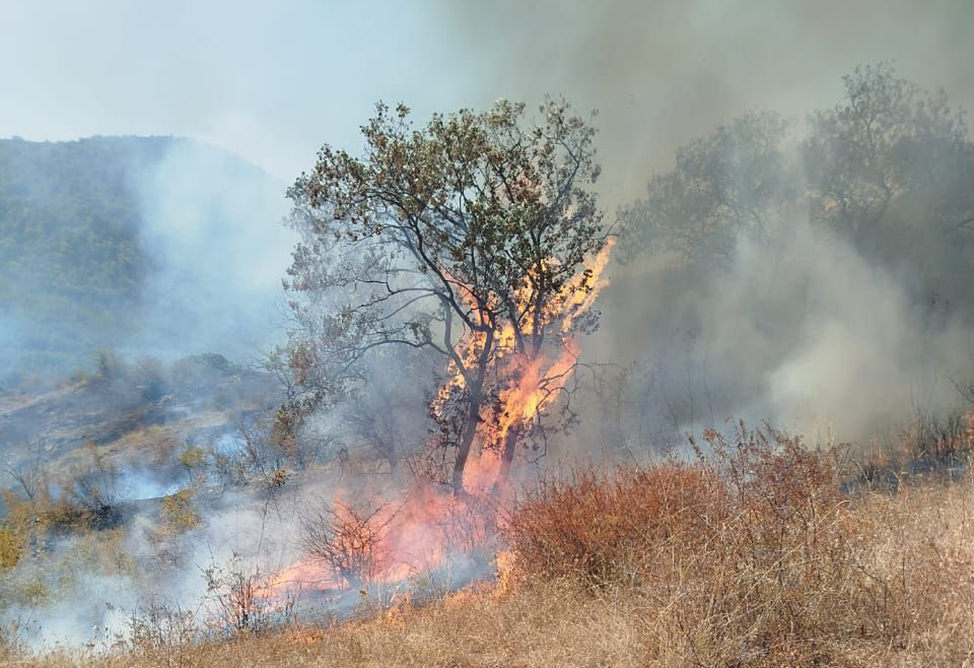 пожар, Арцваберд