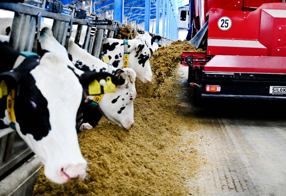 Еремян Еремян