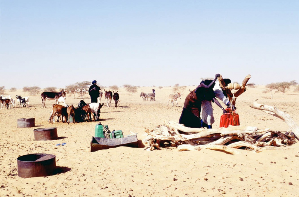 Туареги Туареги