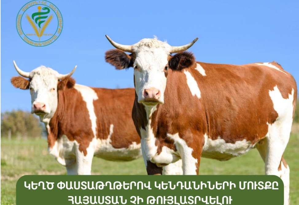 Пресечен ввоз в Армению ввоз «живых животных неизвестного происхождения»