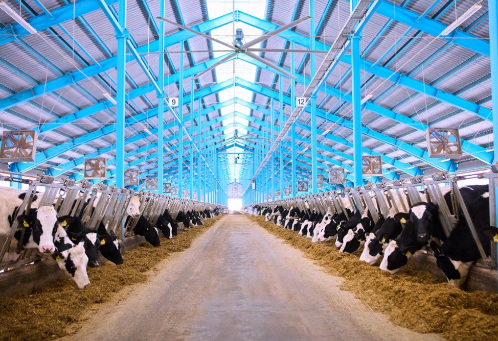 Еремян Еремян