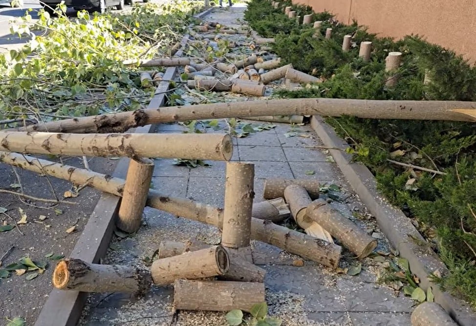 Уголовное дело возбуждено по факту незаконной вырубки 45 тополей в Ереване: виновным грозят штраф либо тюрьма (ВИДЕО) Уголовное дело возбуждено по факту незаконной вырубки 45 тополей в Ереване: виновным грозят штраф либо тюрьма (ВИДЕО)