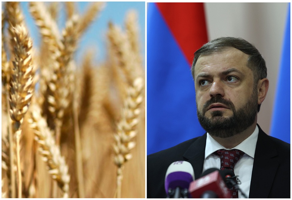 Բոլորս էլ այդ հացը կերել ենք․ Պապոյանը՝ Ադրբեջանի տարածքով ՀՀ ներկրված ցորենի մասին