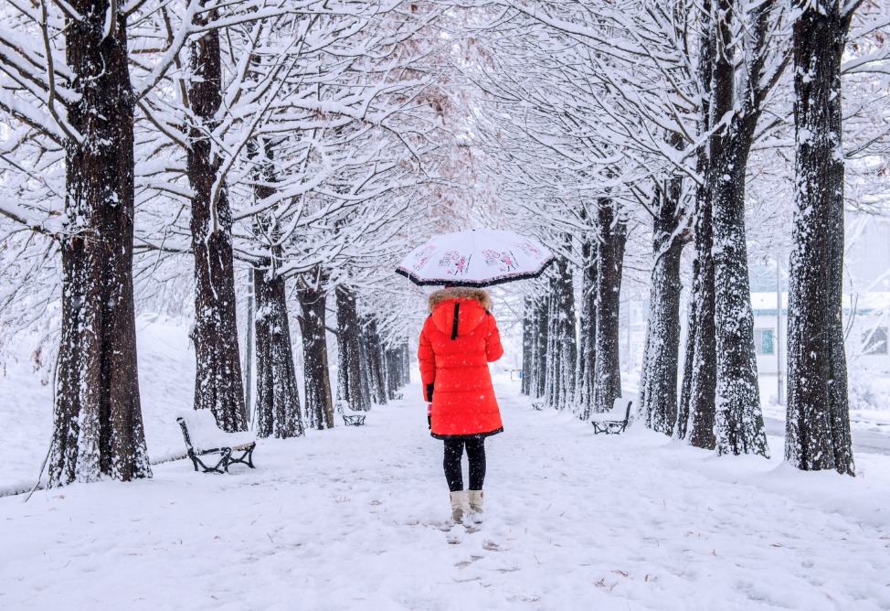 зима погода