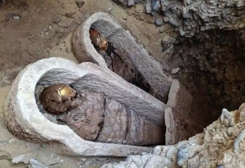 MyCollages - 2026-04-23T104657.480.jpg