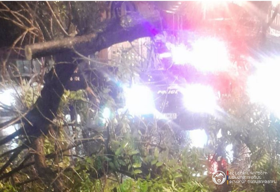 Տապալվել են ծառեր, փակվել ճանապարհներ. Փրկարար ծառայությունն արձագանքել է քամու վերաբերյալ ստացված բոլոր ահազանգերին (ՖՈՏՈ)