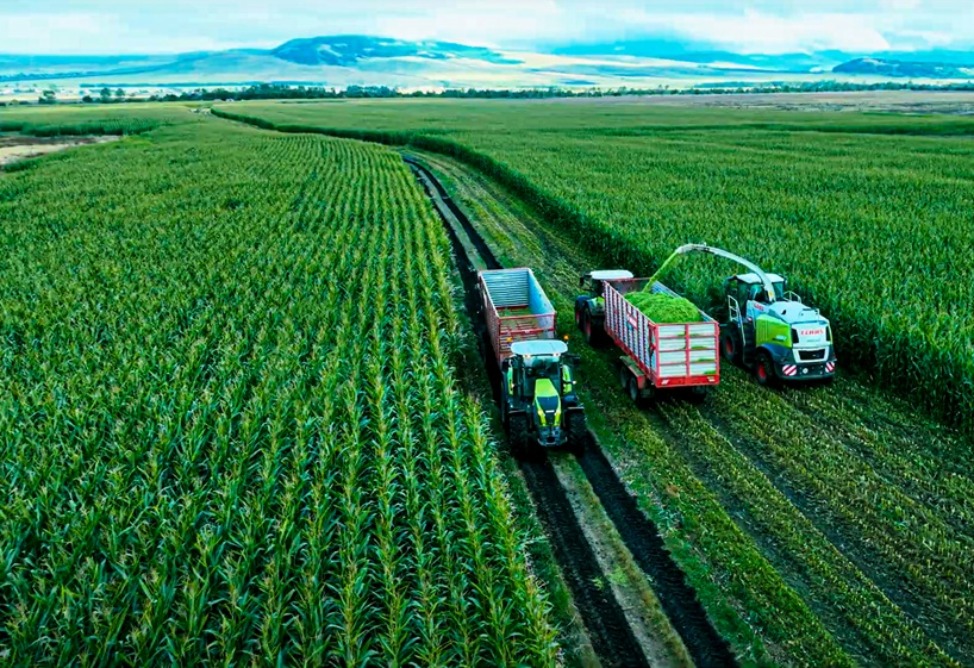 Еремян Еремян