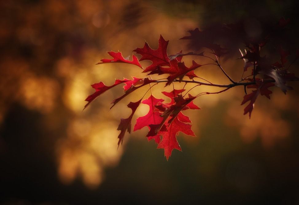 В Ереване температура воздуха может достичь 59-летнего рекорда