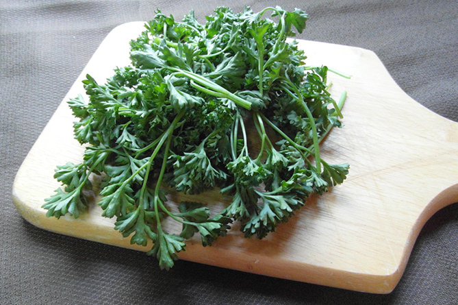 петрушка, зелень петрушка, зелень