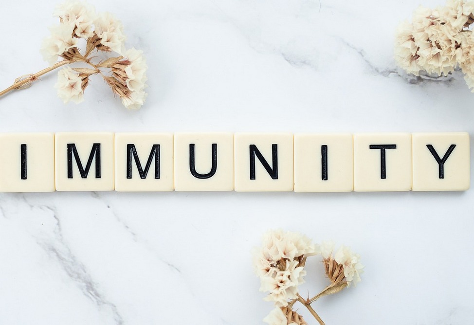 Нобелевскую премию по медицине и физиологии присудили за исследования в области иммунитета