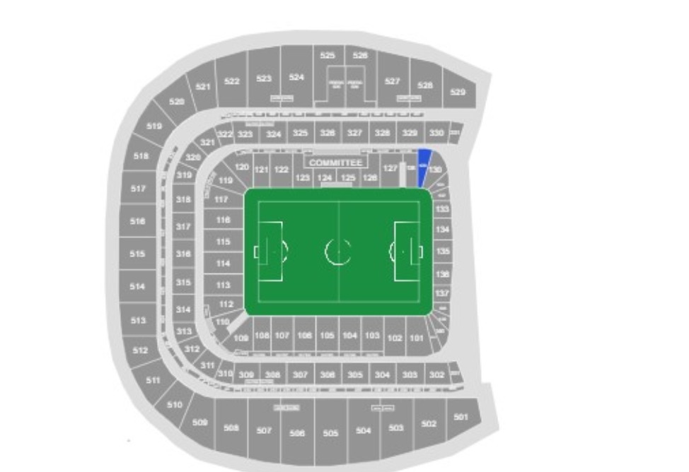 дублин стадион