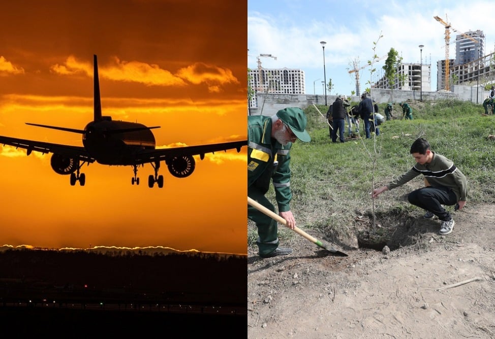 Временный запрет полетов авиации общего назначения в Армении и массовая посадка деревьев: читайте самые интересные публикации недели в ТГ-каналах нашего медиахолдинга