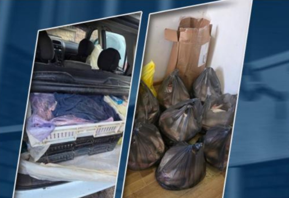 42–ամյա սևանցու մեքենայում մոտ 102 կգ սիգ է հայտնաբերվել․ նա տեղափոխվել է ոստիկանություն 42–ամյա սևանցու մեքենայում մոտ 102 կգ սիգ է հայտնաբերվել․ նա տեղափոխվել է ոստիկանություն