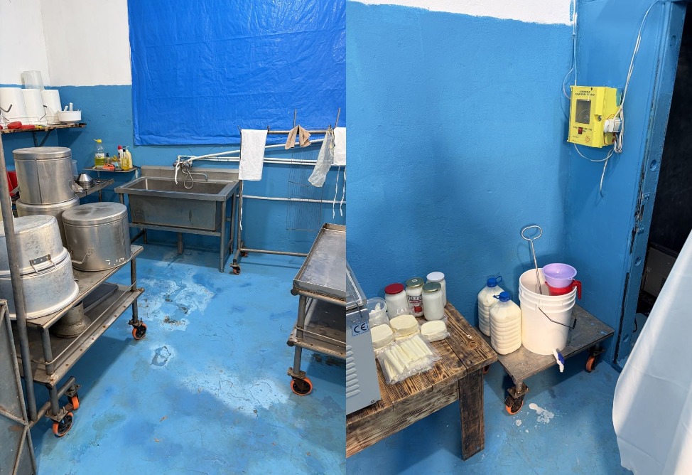 Սանիտարահիգիենիկ նորմերի խախտումներ․ կաթնամթերքի արտադրության գործունեությունը կասեցվել է 