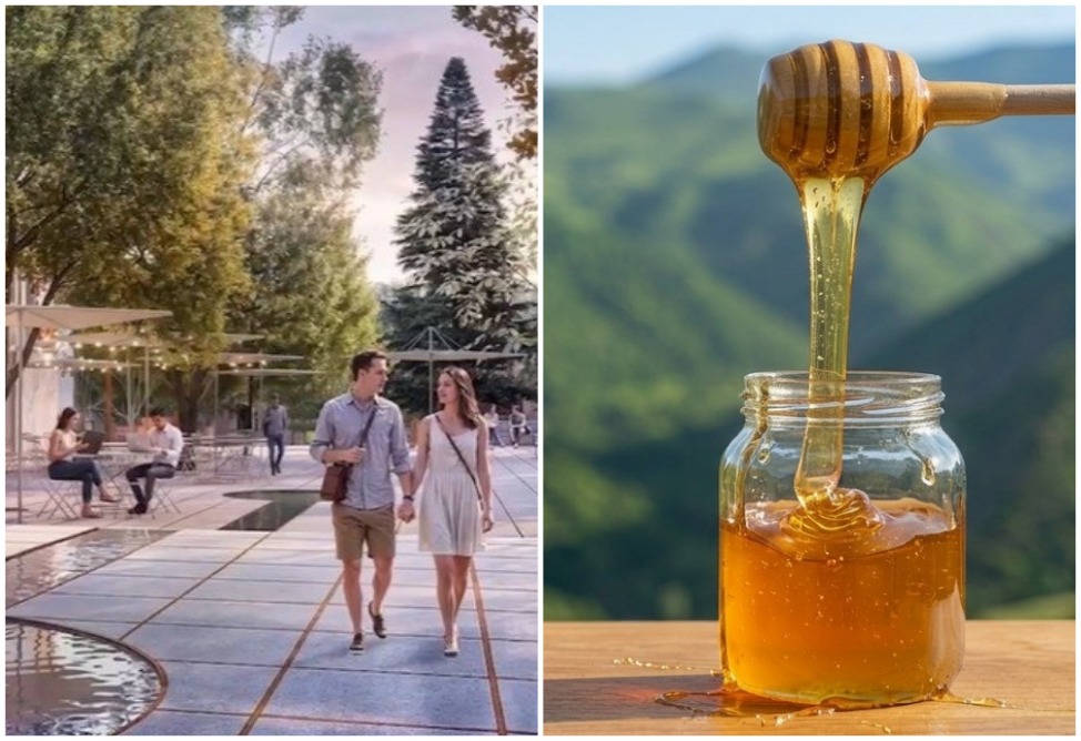 Երևանի կենտրոնում կբարեկարգվի Մոսկովյան պուրակը, Վայոց Ձորում Մեղրի փառատոն կանցկացվի, շաբաթվա լավ լուրերը