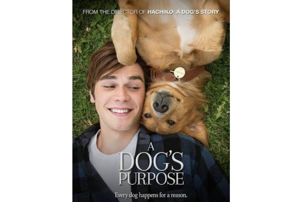 A Dog’s Purpose
