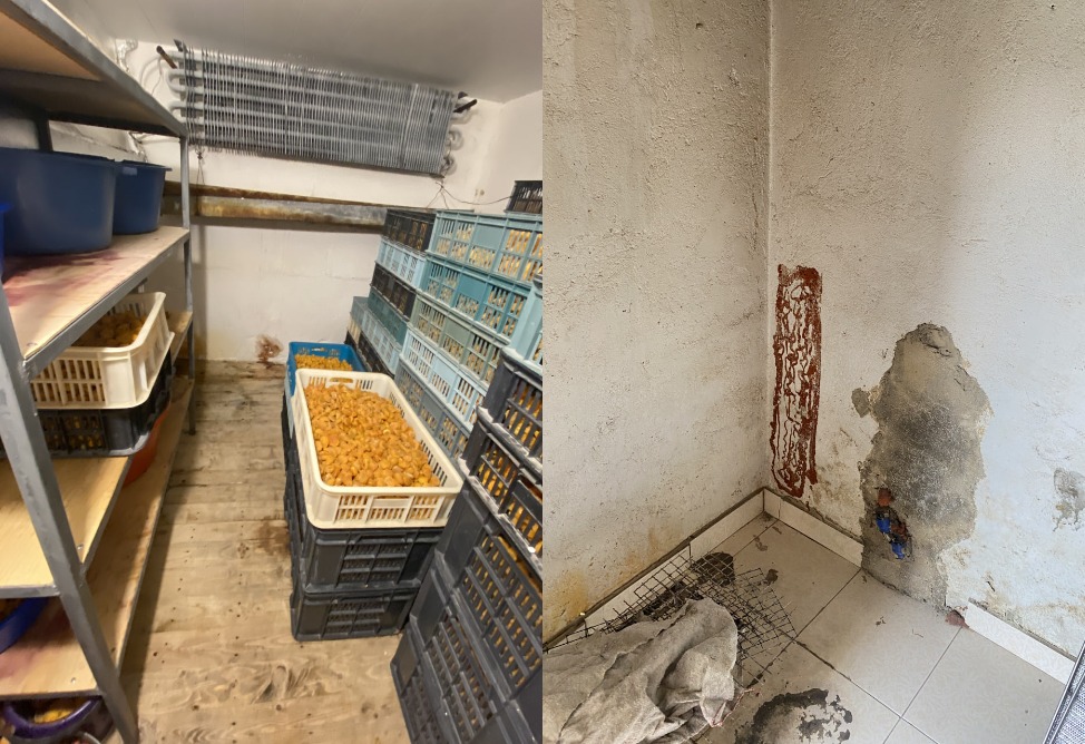 Չրերի արտադրամասի գործունեություն է կասեցվել (ՖՈՏՈ)