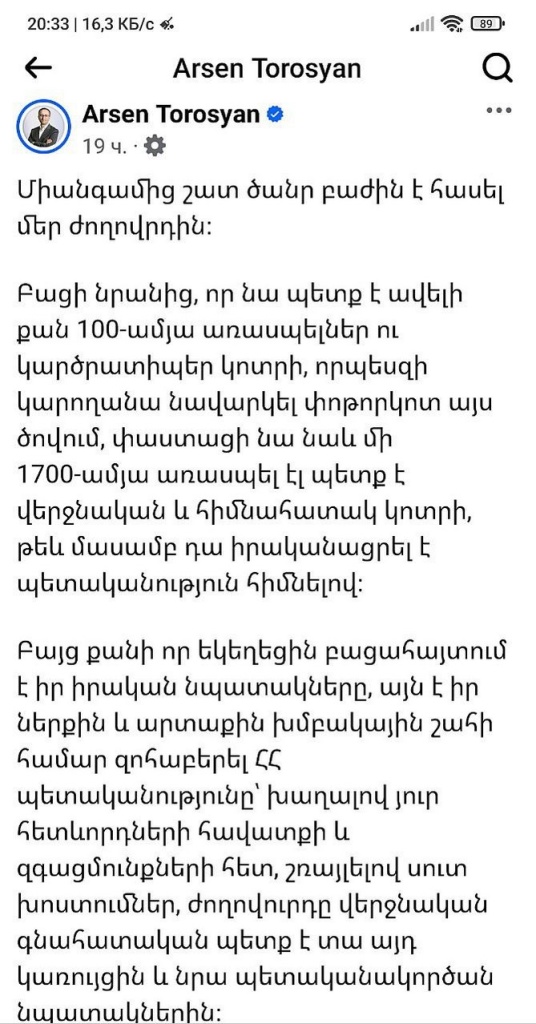 торосян скрин.jpg